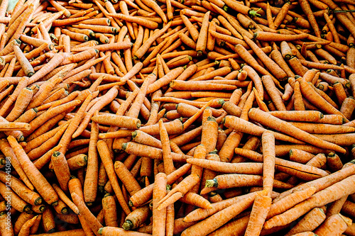 Large Pile of Carrots