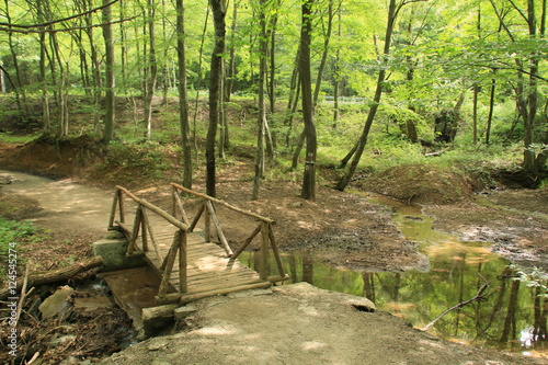 Wallpaper Mural forest bridge Torontodigital.ca