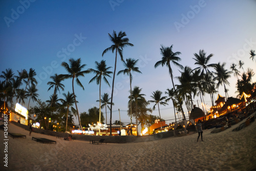 Cafe and palms on the beach in the evening photo