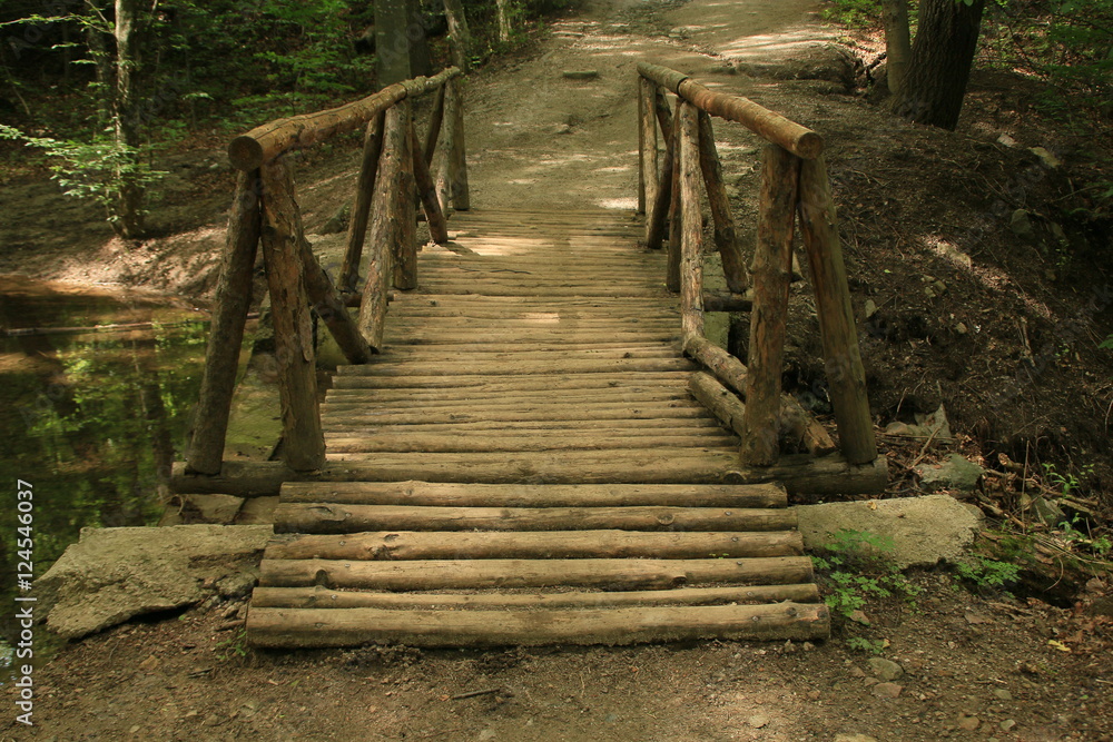 Obraz premium forest bridge