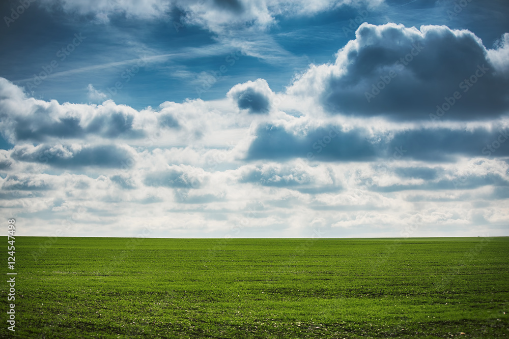 Green wheat field and cloudy day