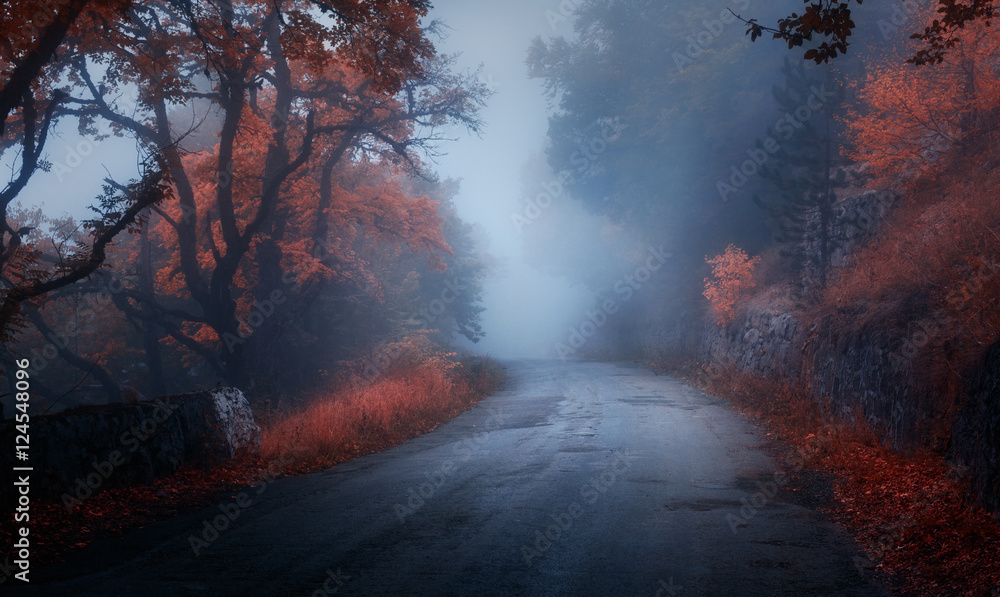 Fototapeta premium Mystical autumn forest with road in fog. Fall misty woods. Colorful landscape with trees, rural road, orange and red foliage, blue fog. Magical road. Autumn background. Magic dark forest. Fairytale