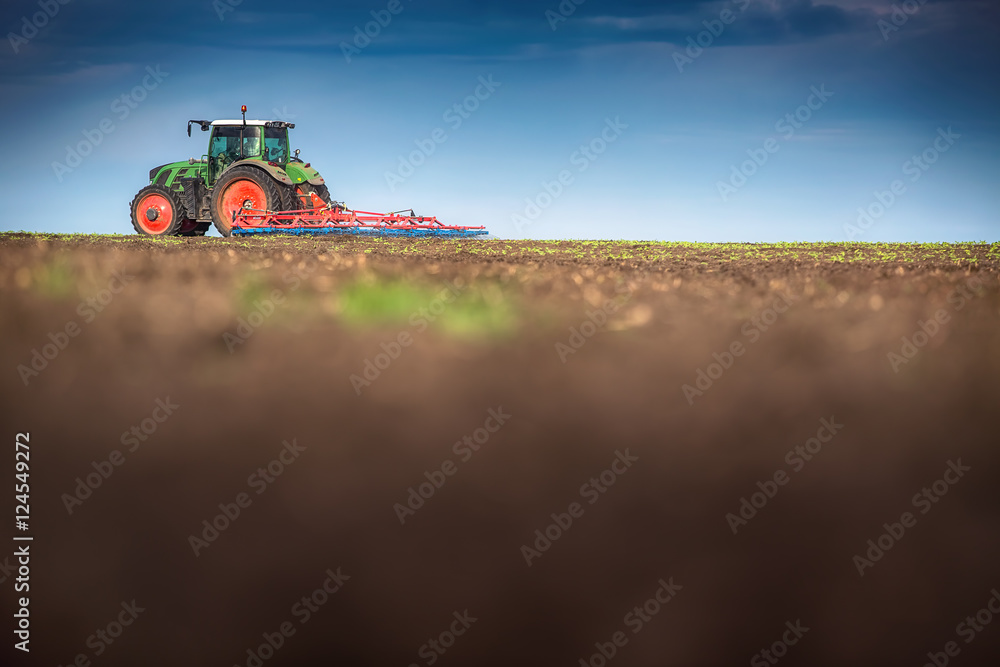 Fototapeta premium Farmer in tractor preparing land with seedbed cultivator