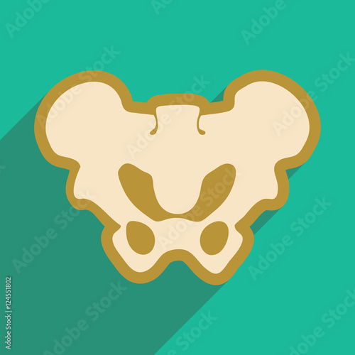 flat icon with long shadow human pelvis 