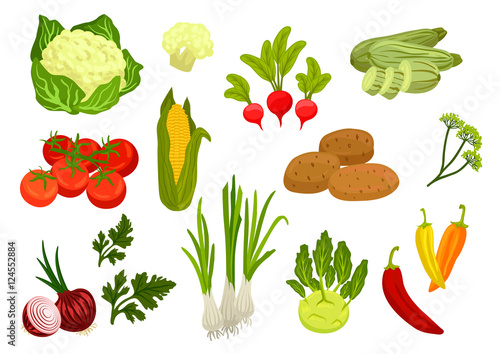 Farm vegetables isolated flat icons