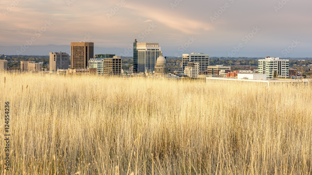 Fototapeta premium Unique skyline of Boise Idaho with grasses