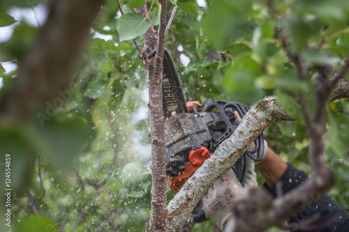 Wallpaper Mural Potatura agricola Torontodigital.ca