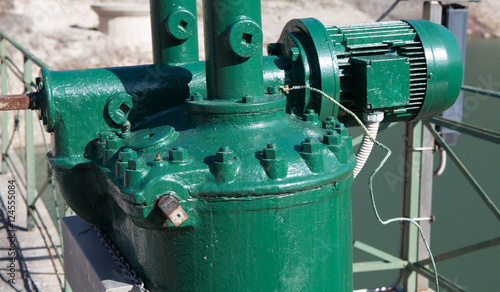 Green electric water pump