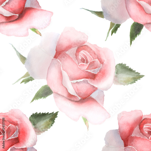 Seamless pattern watercolor roses on white.