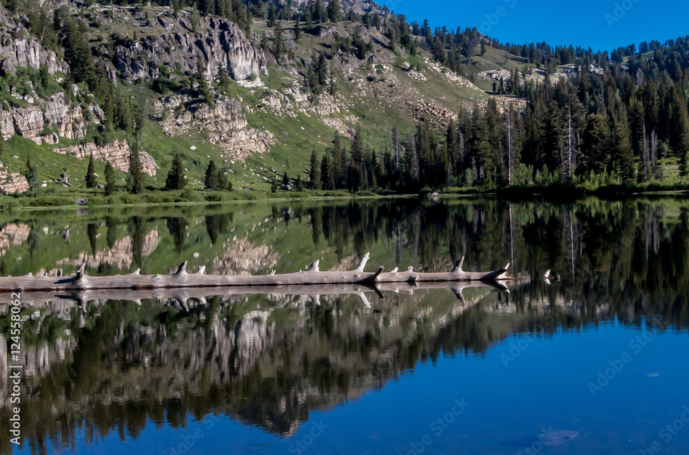 Fototapeta premium Reflection