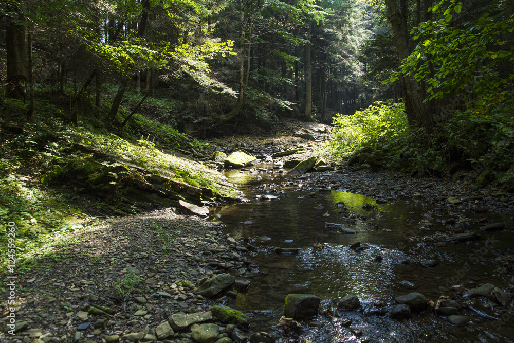 Mountain beautiful River in the Carpathians Mountain beautiful River in the Carpathians