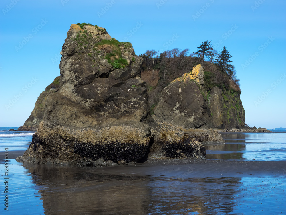 Washington Coast