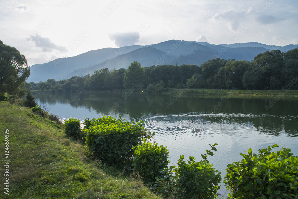 Mountain beautiful River in the Carpathians