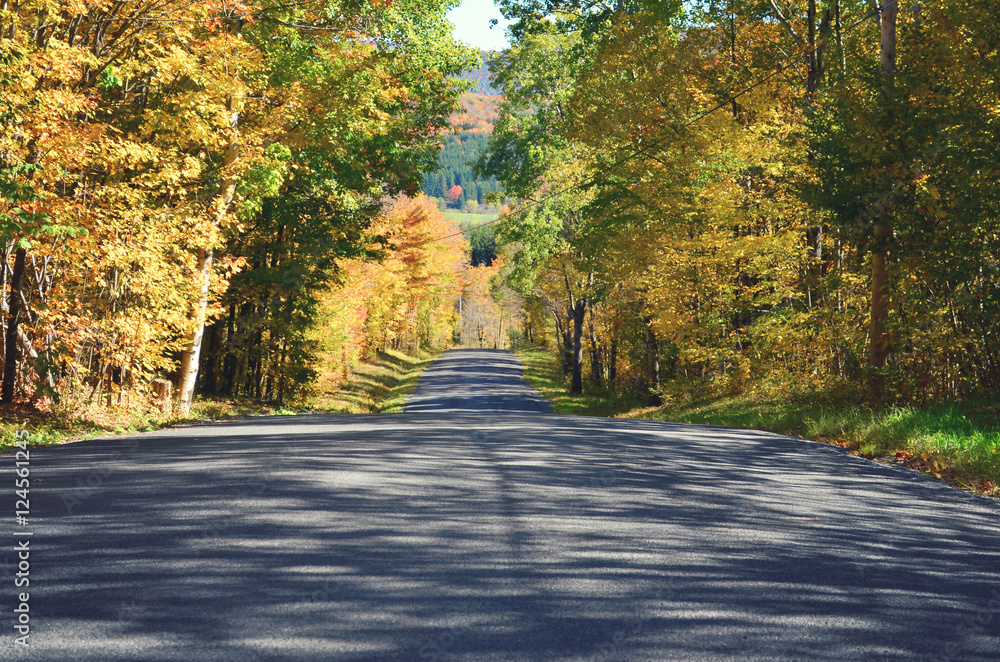 Obraz premium Winding scenic drive upstate New York. The Catskills are one of the most popular destinations for scenic drives, bike trails, foliage and nature lovers 