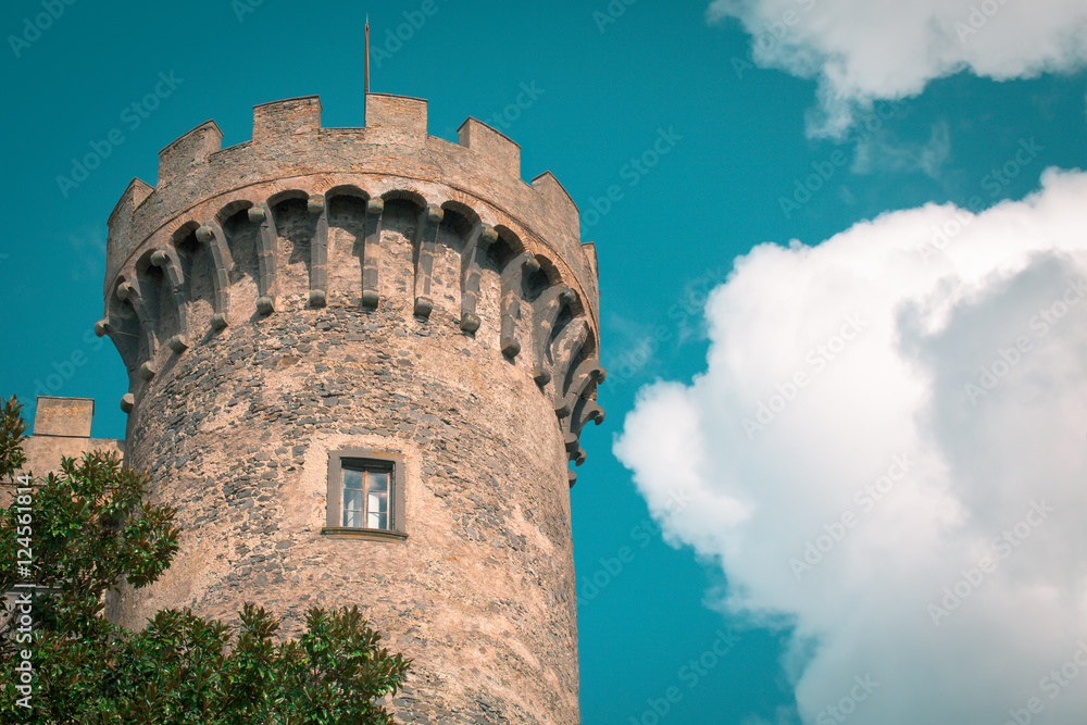 Castle Odescalchi Tower