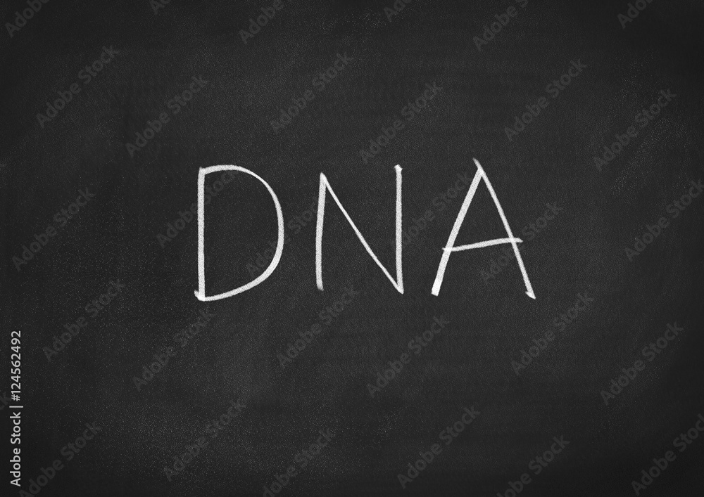 Obraz premium DNA