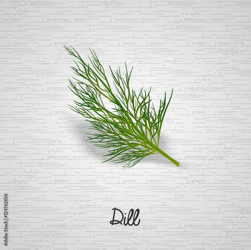 Sprig of dill illustration 