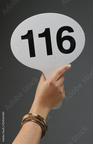 Auction paddle bidder