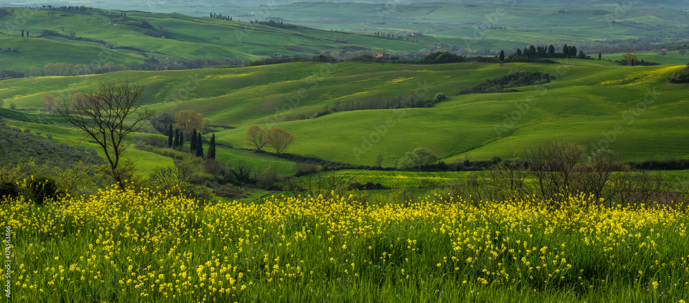 Tuscan  countryside 