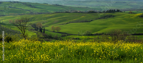 Tuscan  countryside  © forcdan