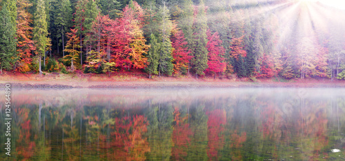 Synevir lake autumn colors