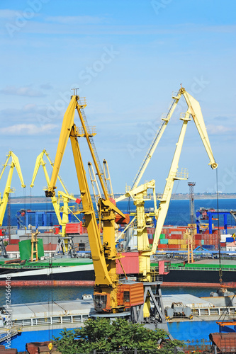 Bulk cargo ship and train under port crane © Unkas Photo