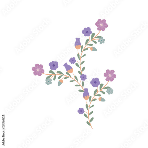 beautiful blue and purple flowers with leaves over white background. vector illustration