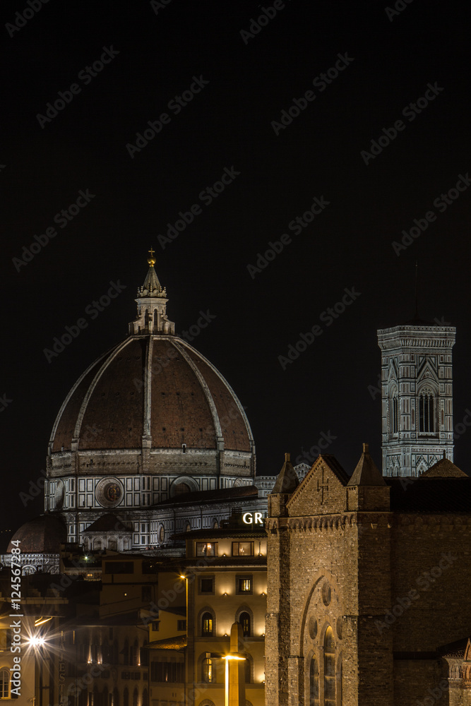 Fototapeta premium Fiorenze/Florenz/Firence