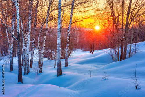 Colorful sunset in winter forest © sborisov