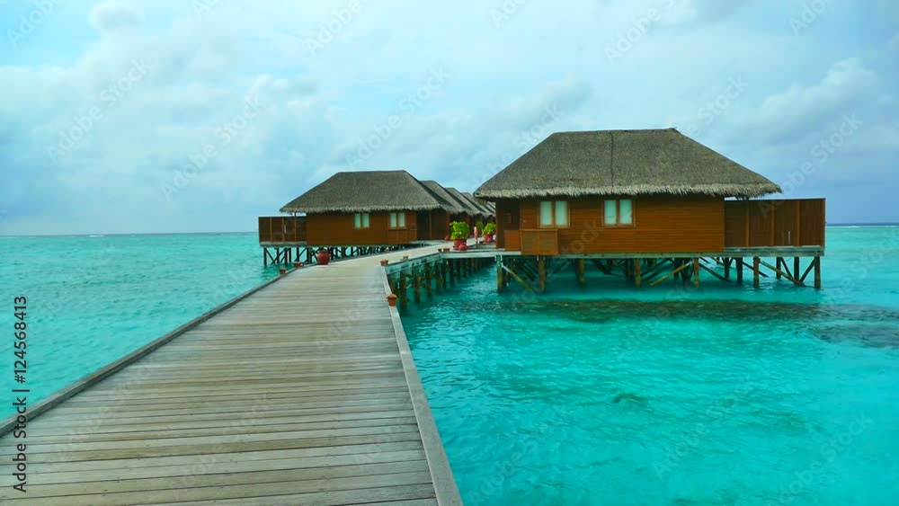 Beautiful tropical beach and sea in maldives island
Beautiful tropical beach and sea in maldives island