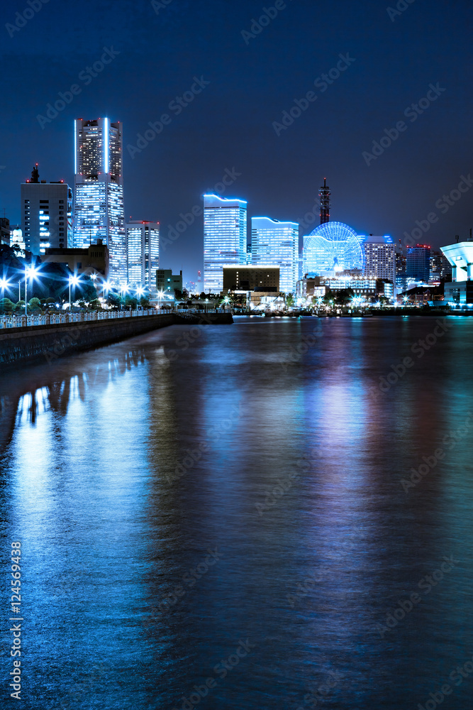 Fototapeta premium 横浜の海