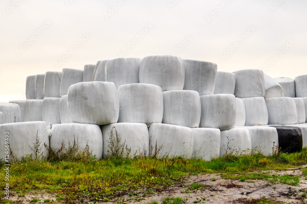 Hay bales packed in white plastic Stock Photo | Adobe Stock