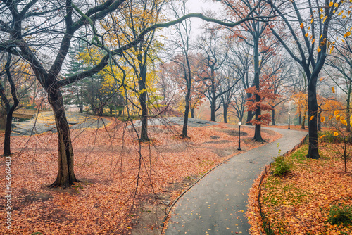 Central park at rainy day, New York City, USA
