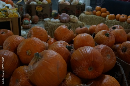 ハロウィン かぼちゃ 市場 カボチャ 南瓜