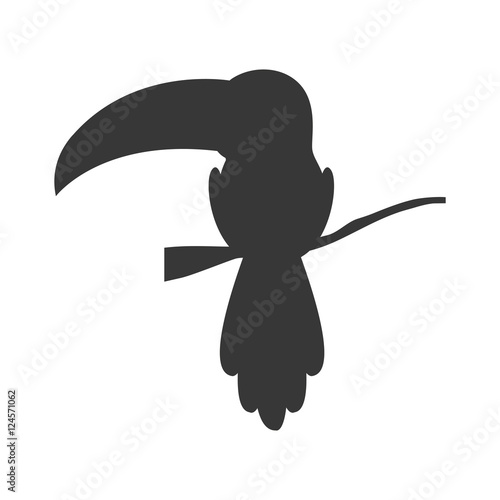 silhouette with toucan wild animal vector illustration