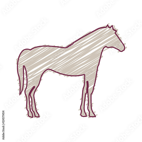 silhouette with horse domestic animal colored vector illustration