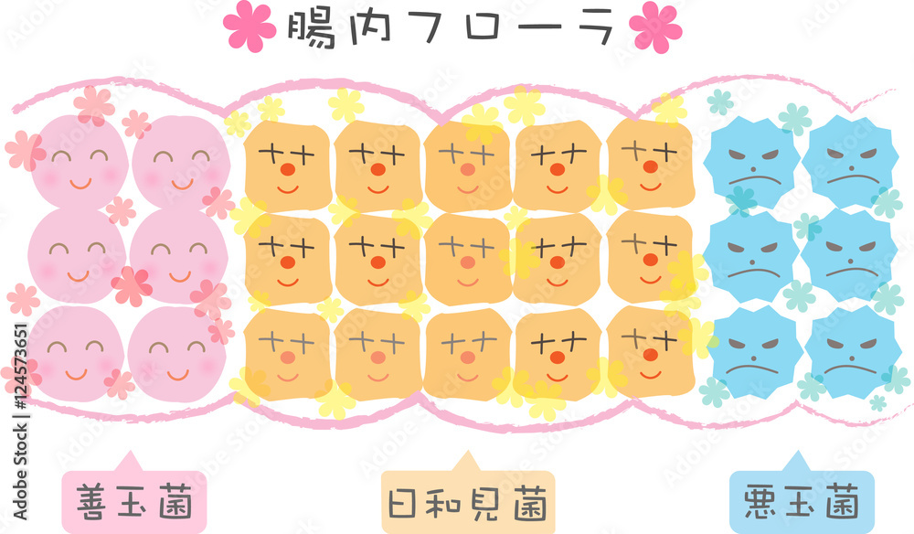 Obraz premium 腸内フローラ