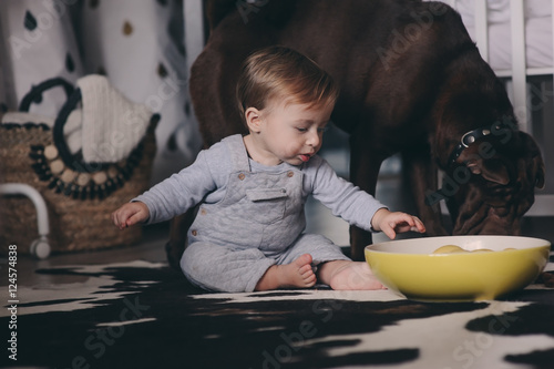 cute baby boy eating cookies and playing at home, dog asking some sweets. Candid captute in real life interior photo