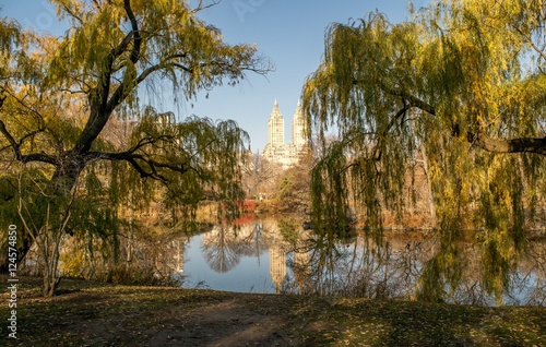 Fototapeta Naklejka Na Ścianę i Meble -  Weiden im Central Park