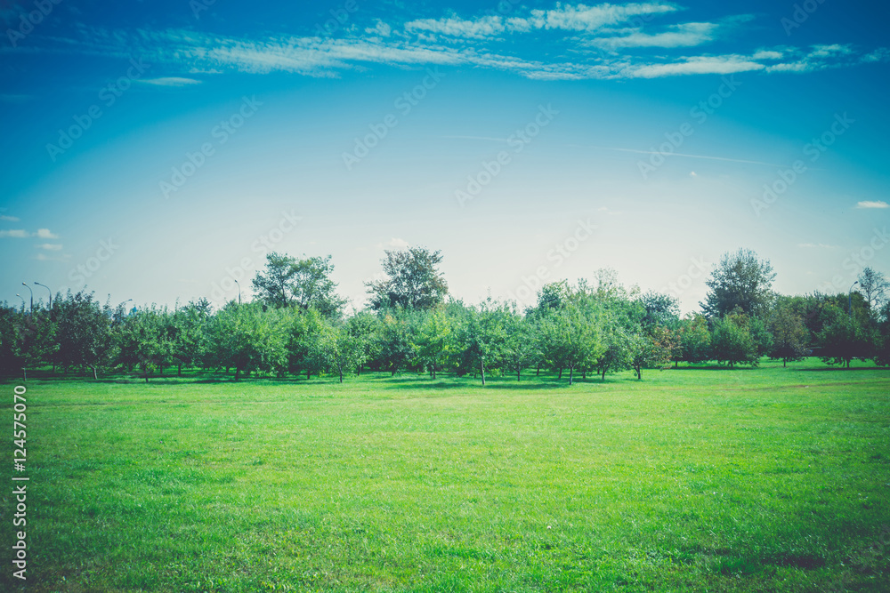 Fototapeta premium Autumn Park Landscape Retro