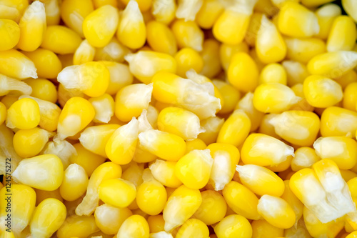 Boiled corn seeds yellow close up pattern