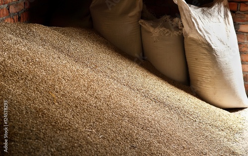 Canvas Print Wheat grains in sacks at mill storage