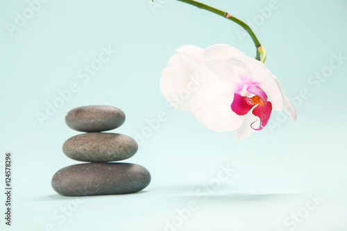 Black zen stones with beautiful orchid flower