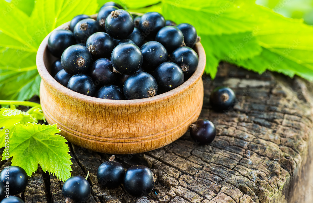 Black currants in a bowl Black currants in a bowl