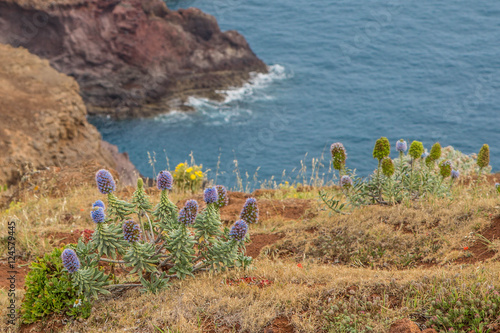 Wanderung auf der Landzunge von Sao Lourenco auf Madeira, Portugal photo