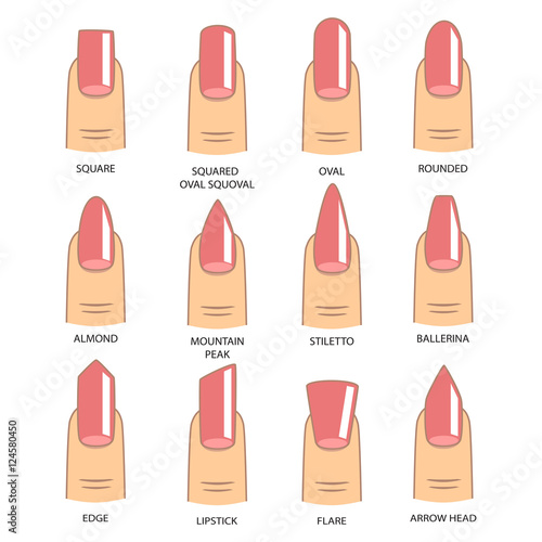 Set of different shapes of nails on white. Nail shape icons. Manicure polish. Vector illustration  © cosveta