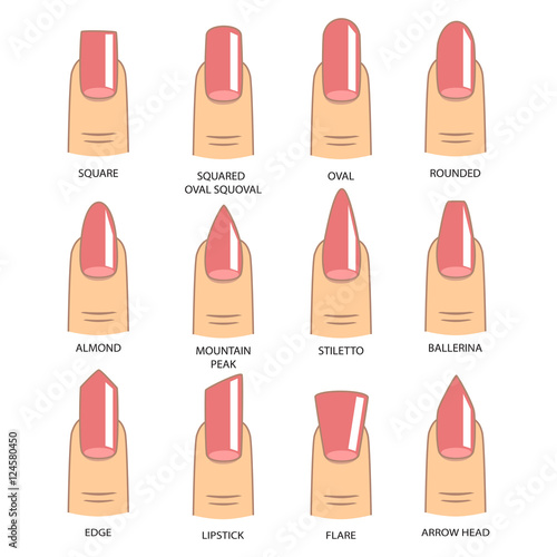 Set of different shapes of nails on white. Nail shape icons. Manicure polish. Vector illustration 