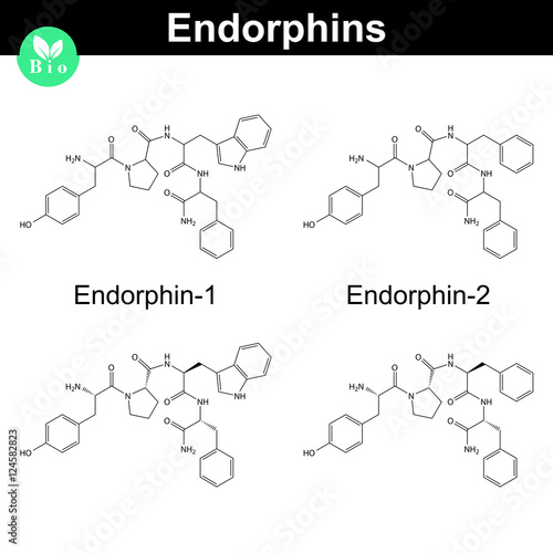 Human endomorphins chemical structures
