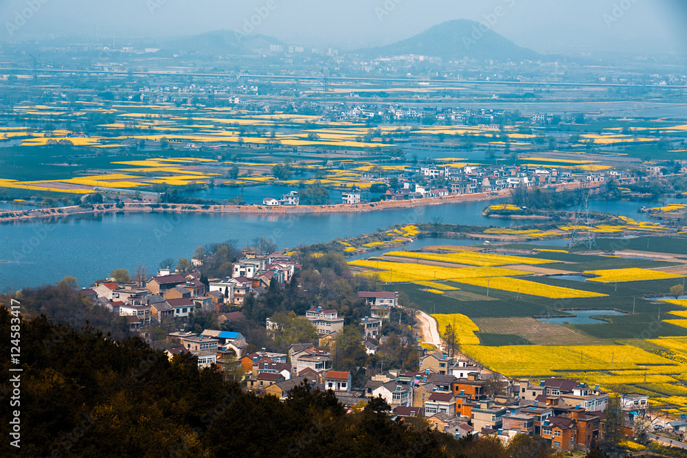 Obraz premium village and field