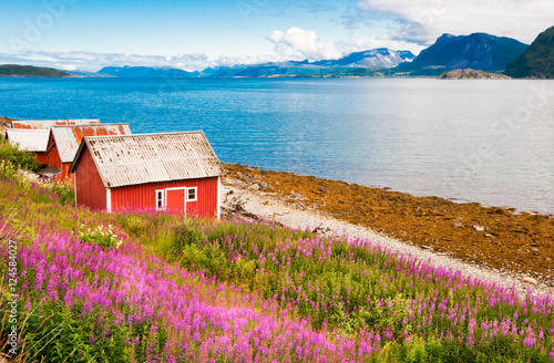 Norway fjord landscape with tipical houses photo